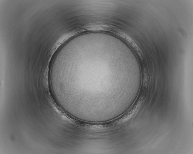 X0000110890986200907091350