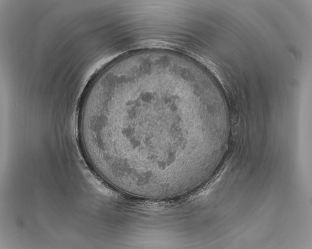 X0000110890987200907091350