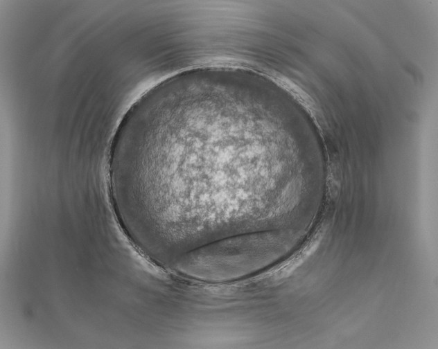 X0000110890989200907091350