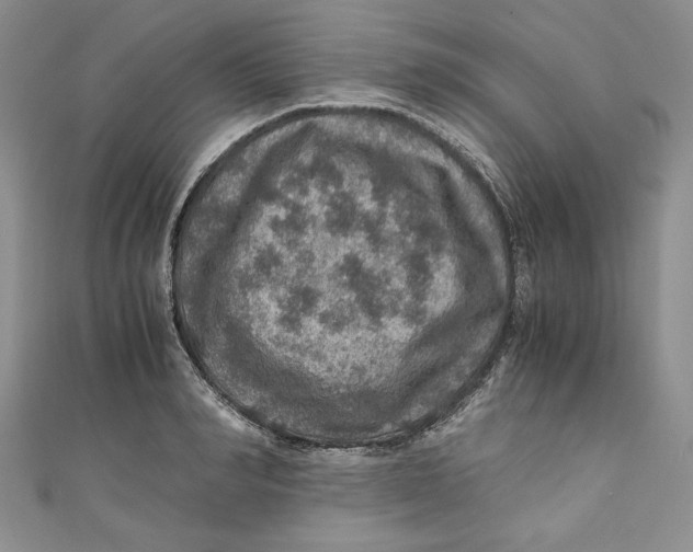 X0000110890990200907091350