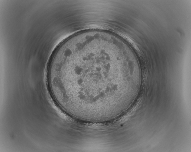 X0000110890991200907091350