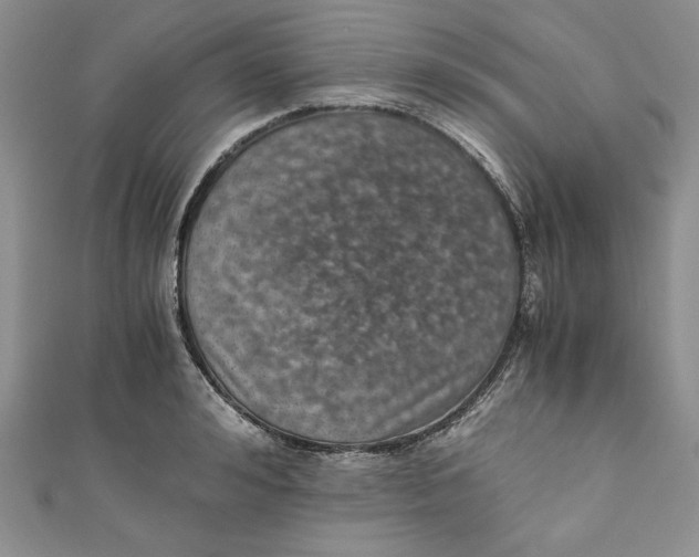 X0000110890992200907091350