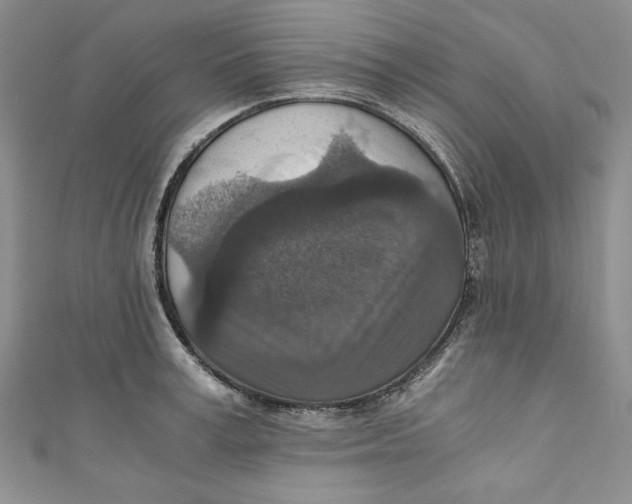 X0000110890995200907091350