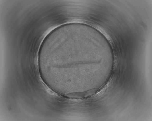 X0000110890996200907091350