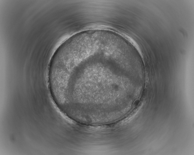 X0000110890997200907091350