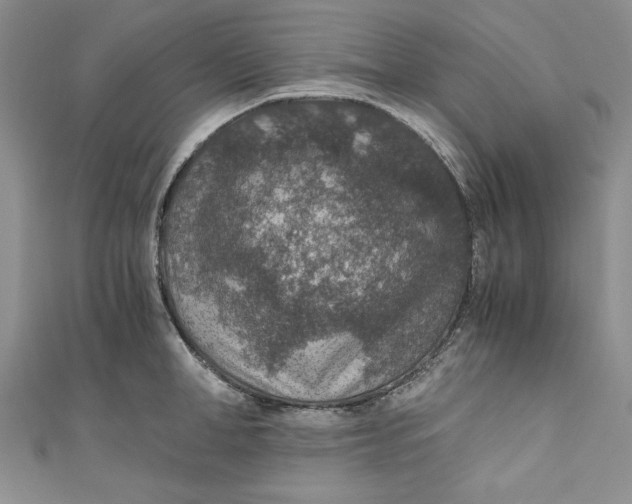 X0000110890998200907091350