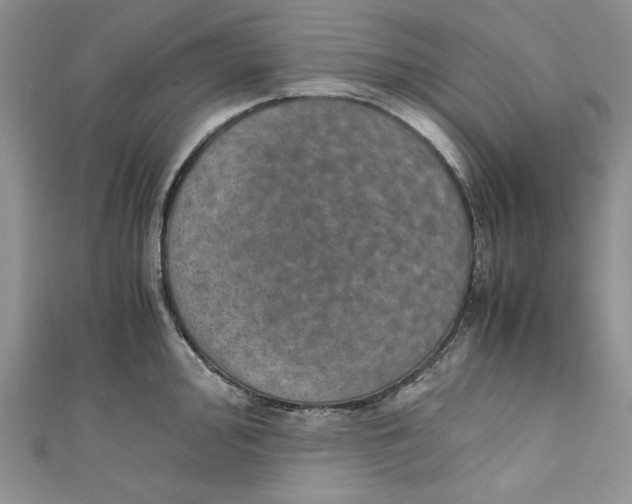 X0000110891000200907091350