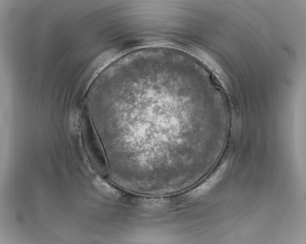 X0000110891001200907091350