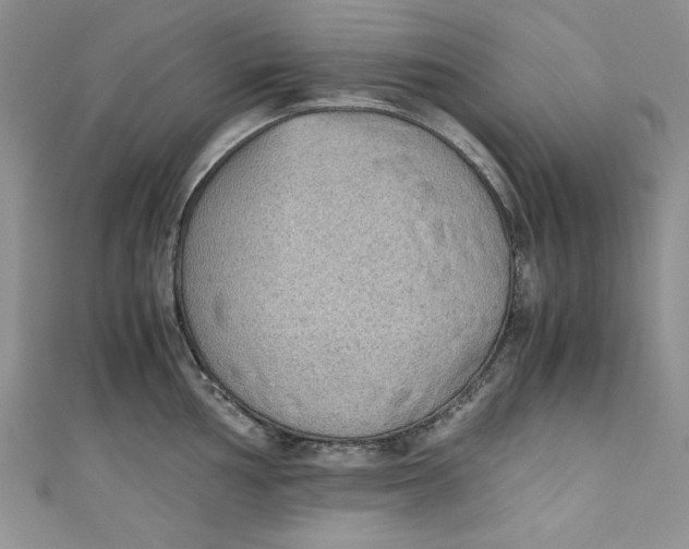 X0000110891002200907091350