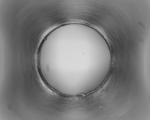 X0000110891003200907091350