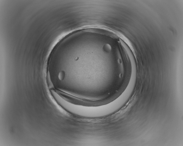 X0000110891005200907091350