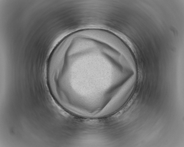 X0000110891006200907091350