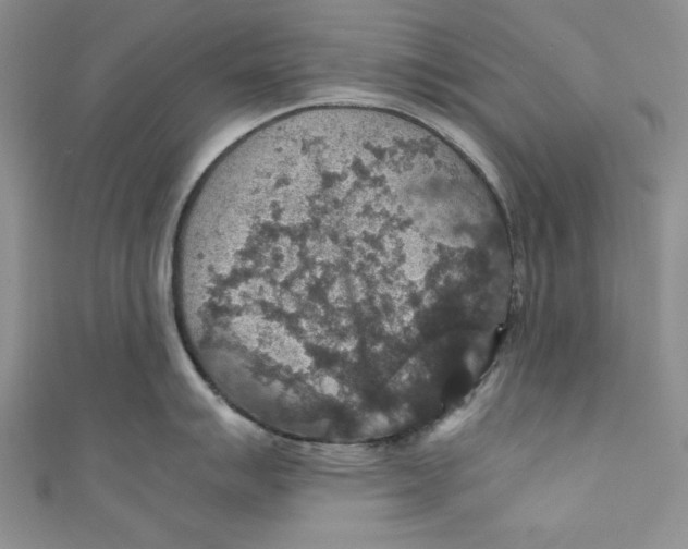 X0000110891007200907091350