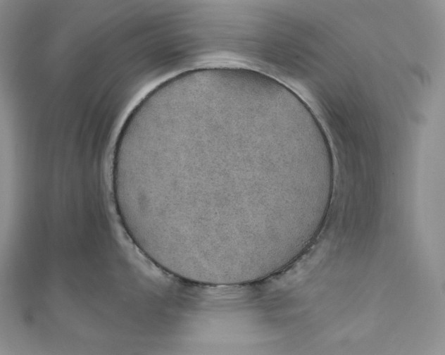 X0000110891008200907091350