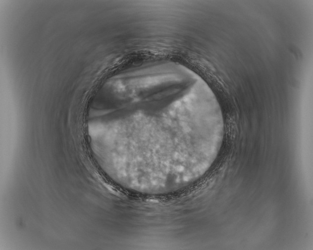 X0000110891009200907091349