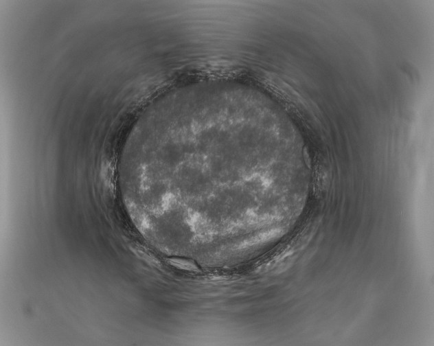 X0000110891010200907091349