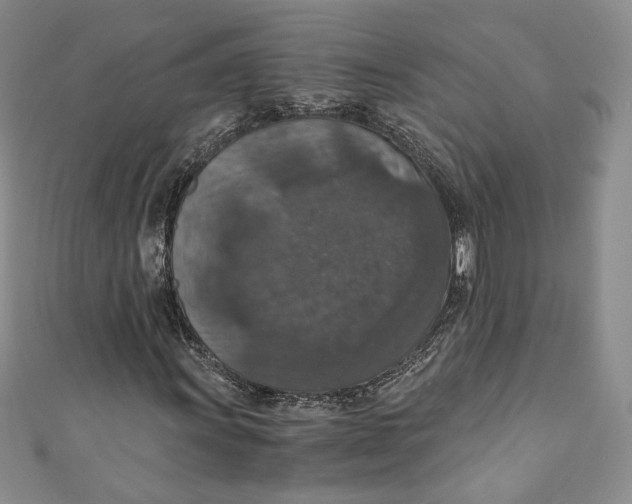 X0000110891011200907091349