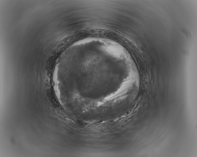 X0000110891013200907091349