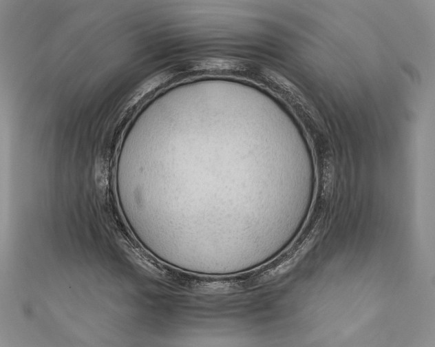 X0000110891017200907091349