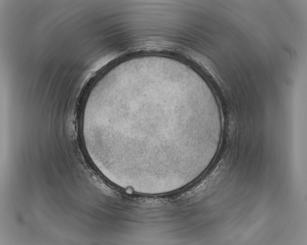 X0000110891018200907091349