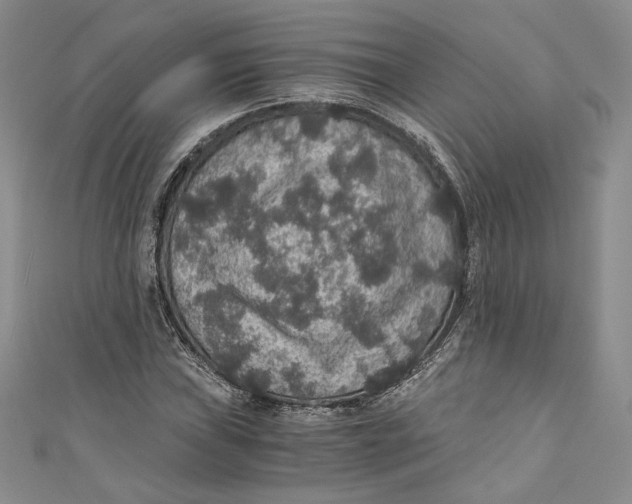 X0000110891019200907091349