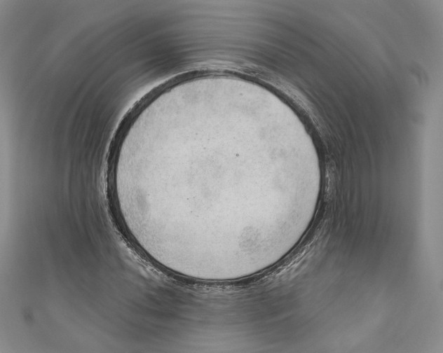 X0000110891020200907091349