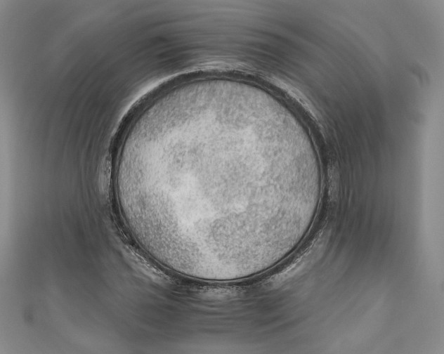 X0000110891021200907091349