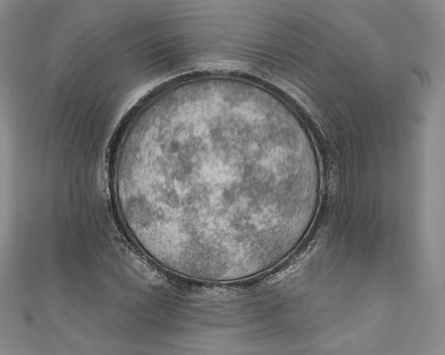 X0000110891022200907091349