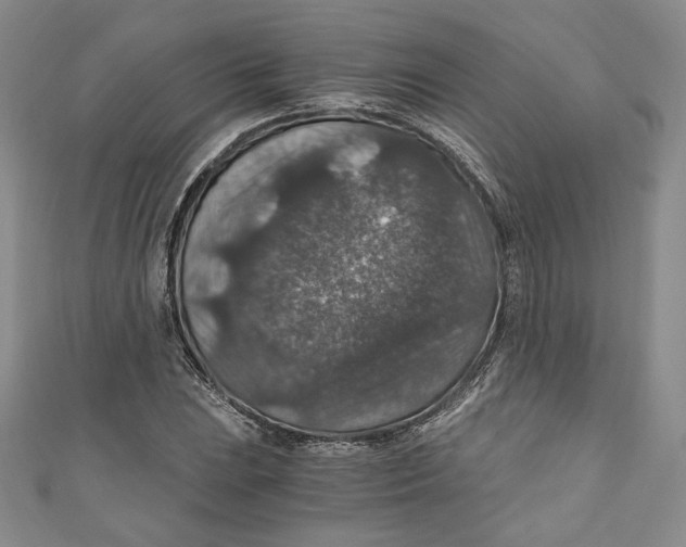 X0000110891023200907091349