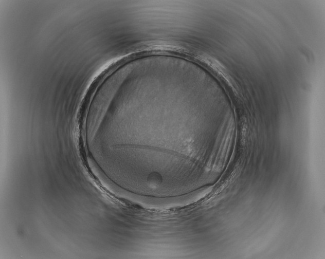 X0000110891024200907091349