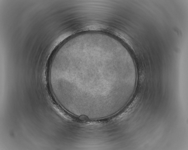 X0000110891026200907091349