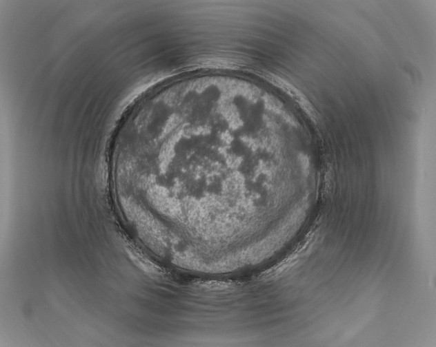 X0000110891027200907091349