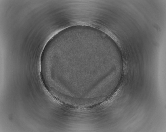 X0000110891028200907091349