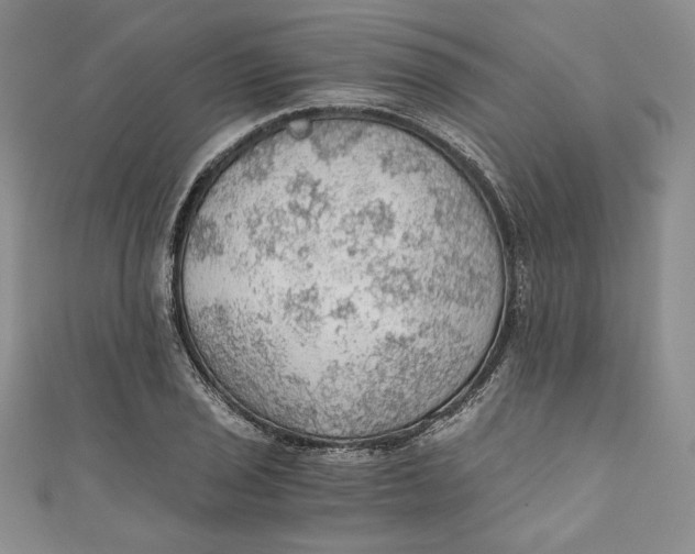 X0000110891029200907091349