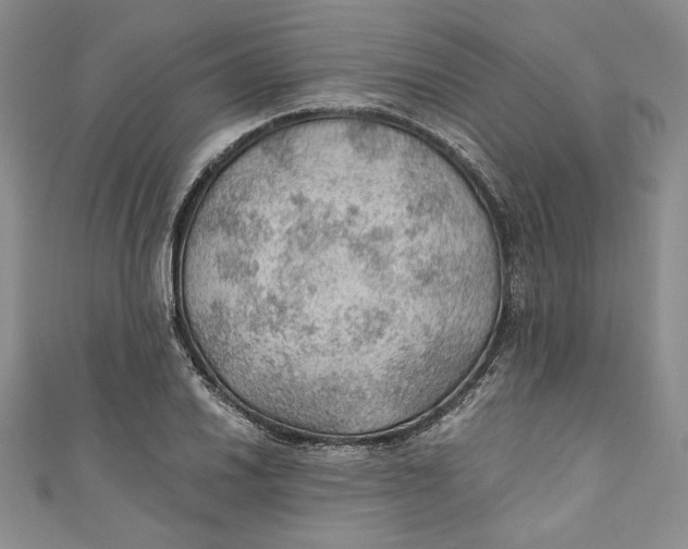 X0000110891030200907091349