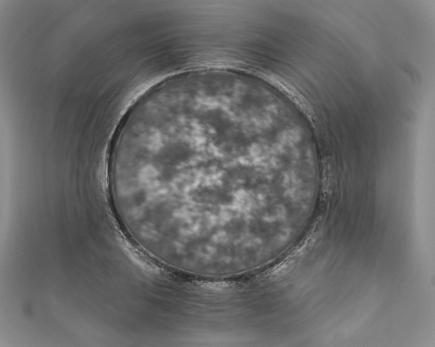 X0000110891031200907091350