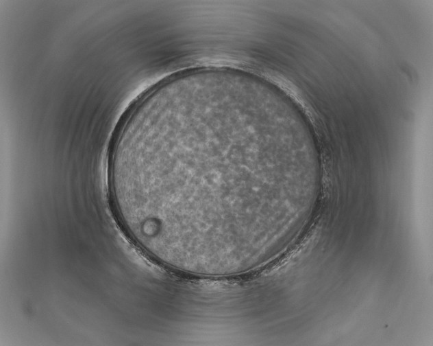 X0000110891032200907091350