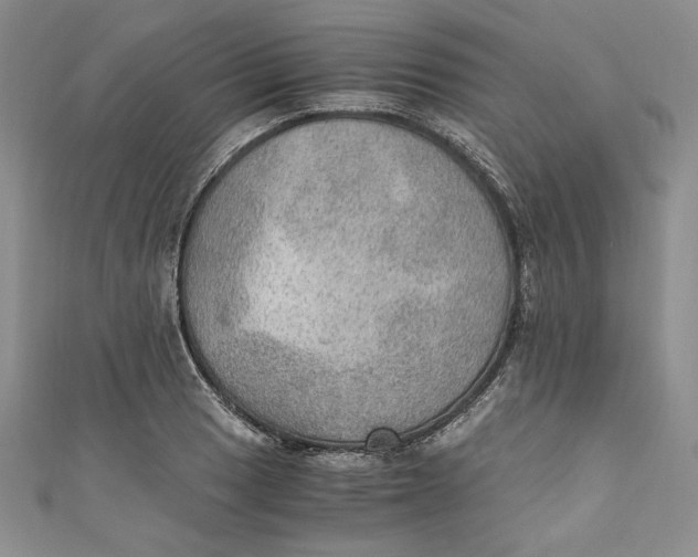 X0000110891033200907091350