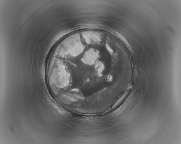 X0000110891035200907091350