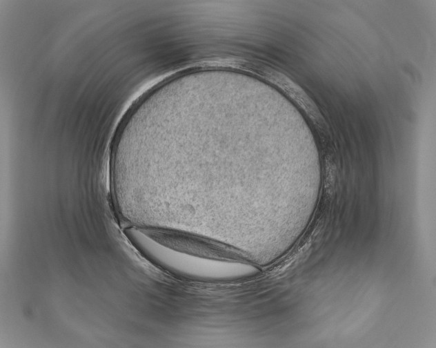 X0000110891036200907091350