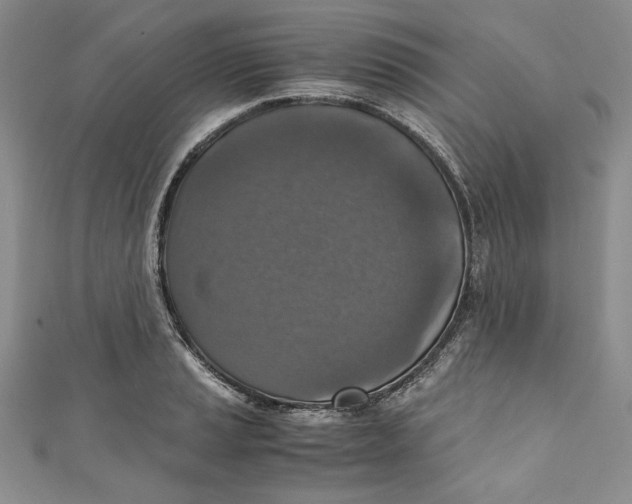 X0000110891037200907091350