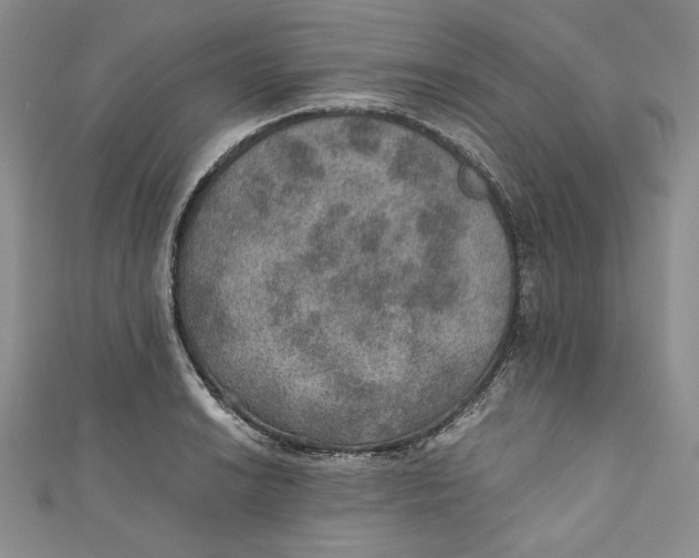 X0000110891038200907091350