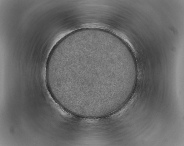 X0000110891040200907091350