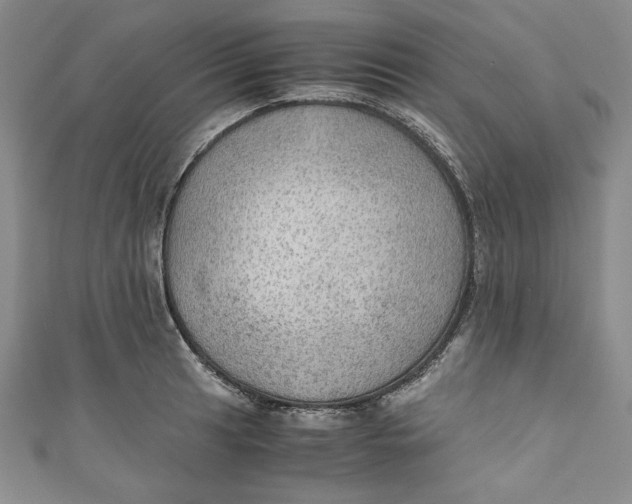 X0000110891041200907091350