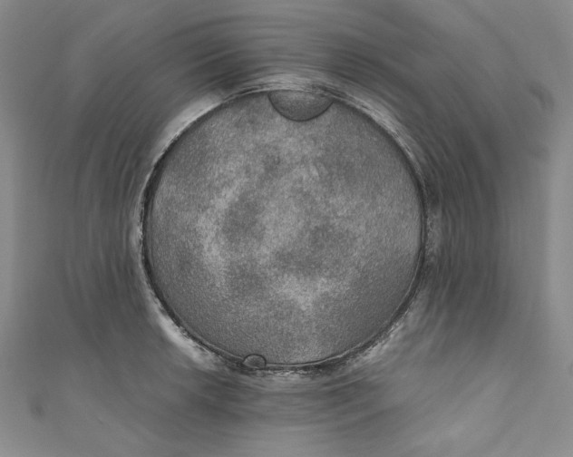 X0000110891042200907091350