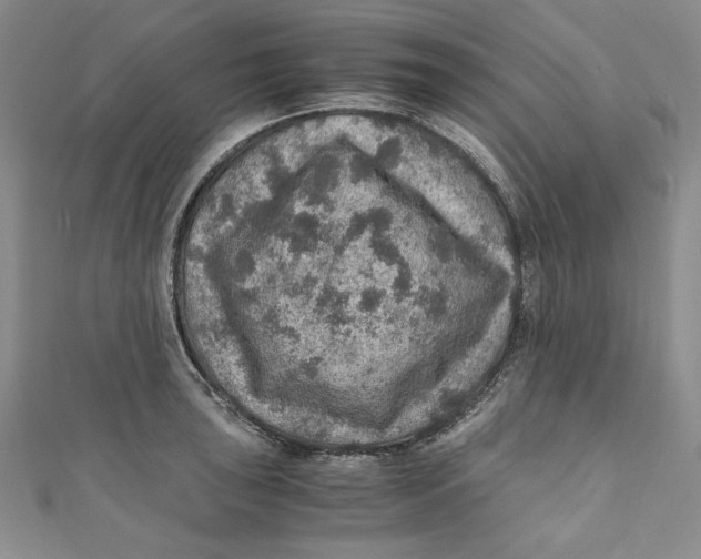 X0000110891043200907091350