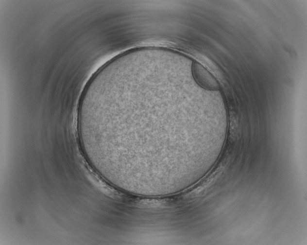 X0000110891044200907091350