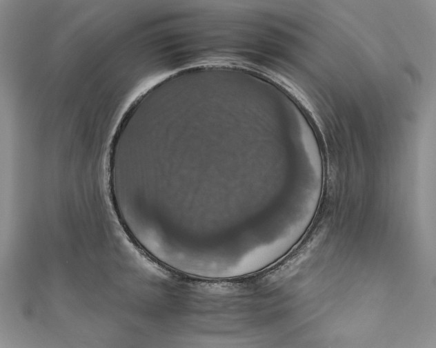 X0000110891045200907091350