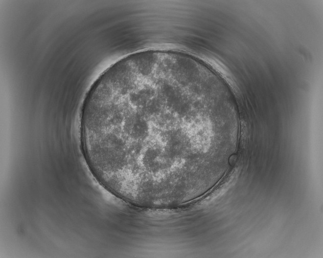 X0000110891046200907091350