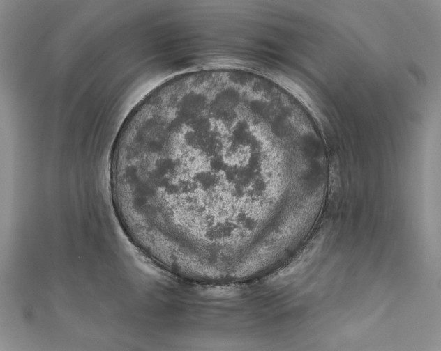 X0000110891047200907091350